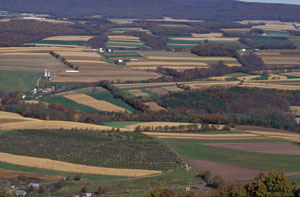 Patchwork of farm fields