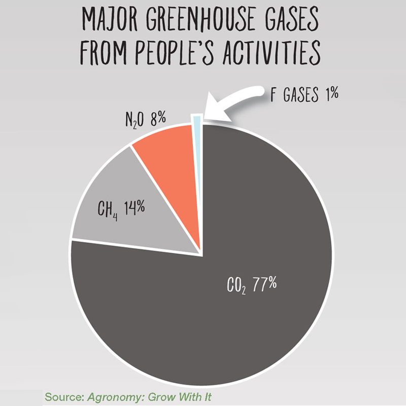 Greenhouse Gases Greenhouse Gases