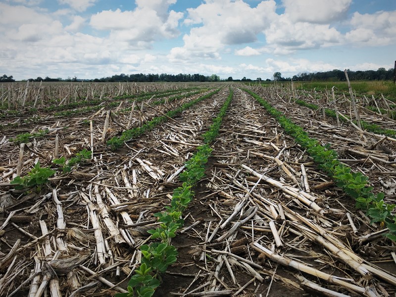 Environmental Impacts | American Society of Agronomy