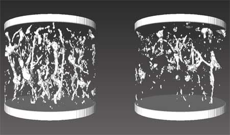 CT scans of two soil cores