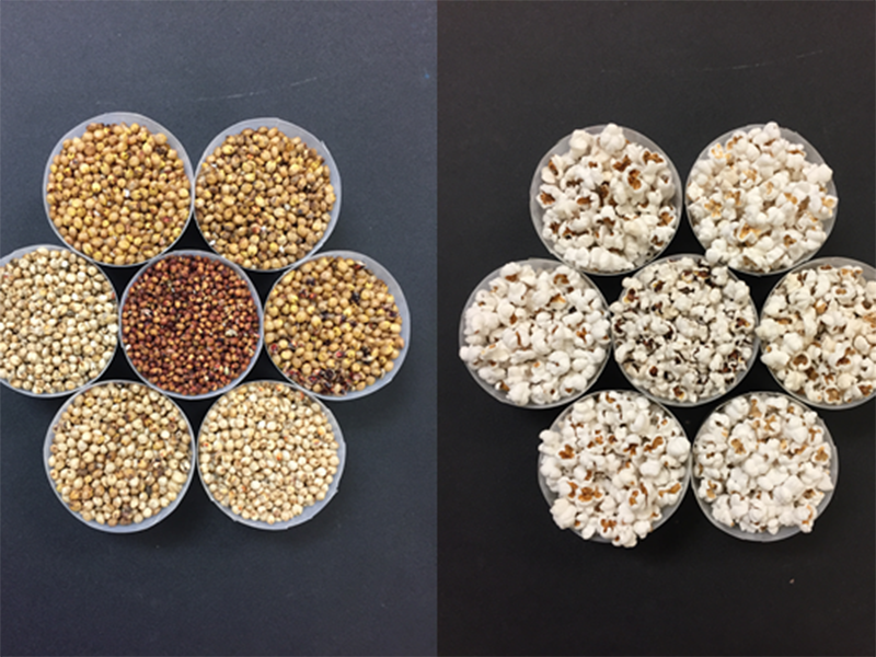 Side by side photo of un-popped and popped sorghum