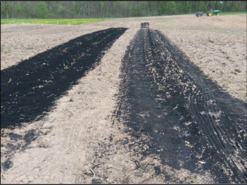 biocarbón esparcido sobre la superficie del suelo en el campo