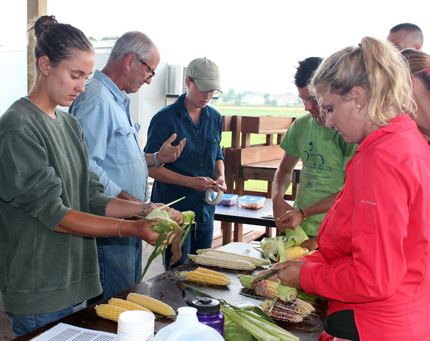 Sweet corn breeder William Tracy (second from left) and Julie Dawson (third from left), both faculty at the University of Wisconsin-Madison, prepare a sweet corn taste test with summer field crew students. One of the goals of this particular breeding project is to develop ‘culinary corn’ with more intense corn flavor. Photo credit Joan Fischer / UW-Madison College of Agricultural and Life Sciences. A group of people prepare different varieties of sweet corn near a field for a taste test..