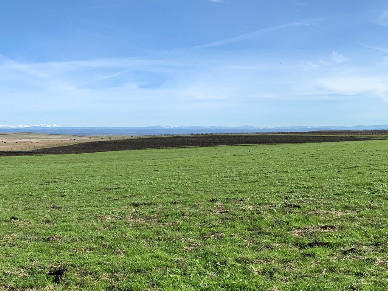 Newswise: Getting a solid soil response to biosolids application
