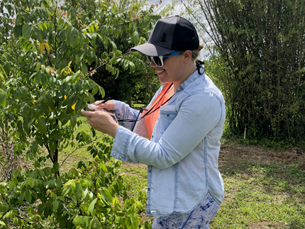 Investigador tomando una medición de campo.