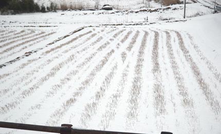 A wintry field in Fukushima, Japan