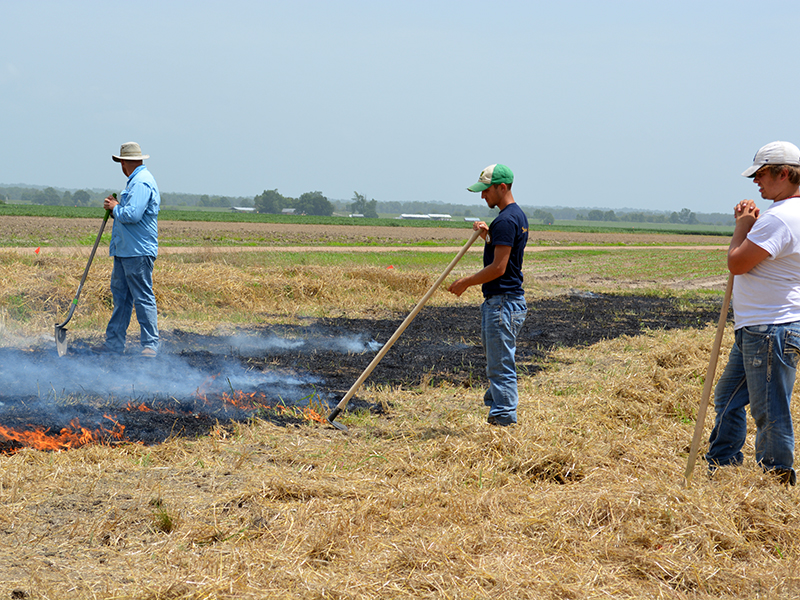 Josh Lofton y los estudiantes monitorean el progreso prescrito del fuego en el rastrojo de trigo. Crédito: Beatrix Haggard Tres hombres mirando quemaduras controladas.