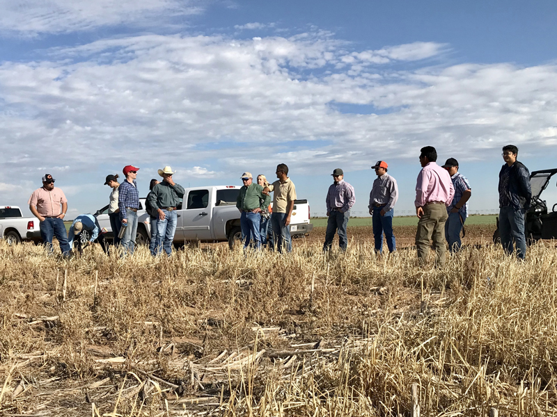 Grupo de hombres escuchando al científico en el campo.