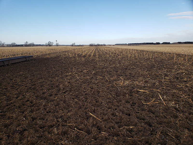 Newswise: Cattle grazing and soybean yields