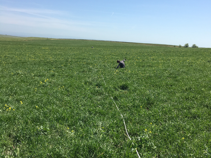 Newswise: Getting a solid soil response to biosolids application