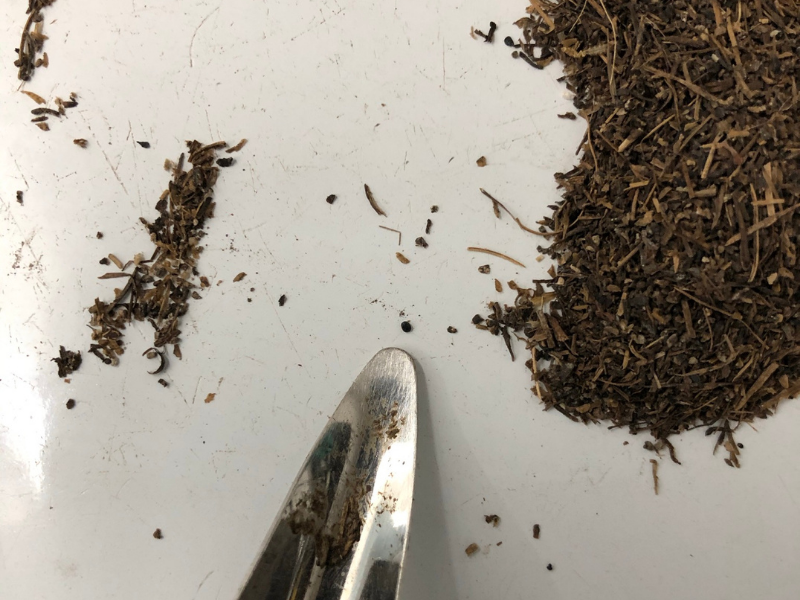 Side-by-side comparison of Palmer amaranth seed to dried cow manure