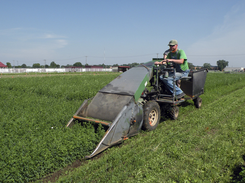 Newswise: Alfalfa and potassium: It’s complicated