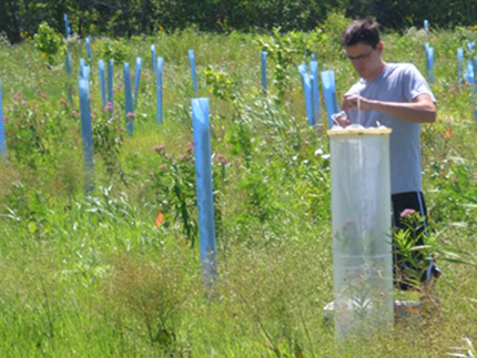 Estudiante recolectando datos de campo