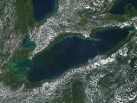 lake erie bottom sediment Lake erie bottom sediment