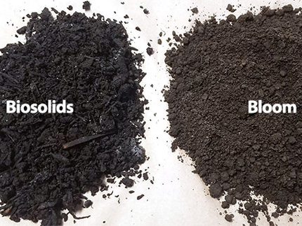 Biosólidos negros junto al producto de compost de floración marrón.