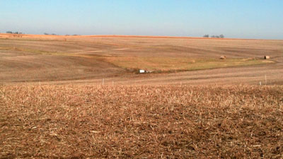 Photo credit: Chris Witte