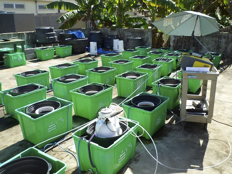 Newswise: Are sinking soils in the Everglades related to climate change?