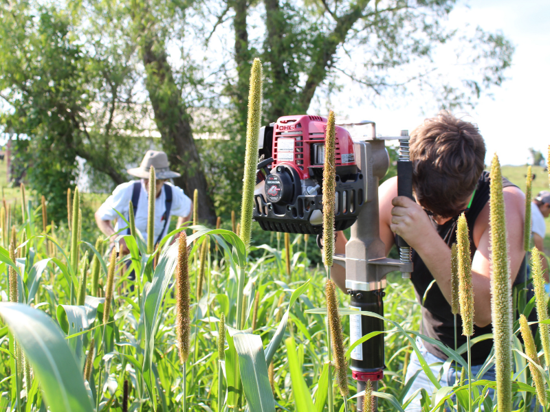 Collecting soil cores