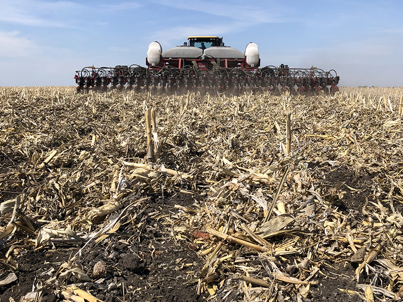 tractor grande plantando soja en el campo de residuos de maíz