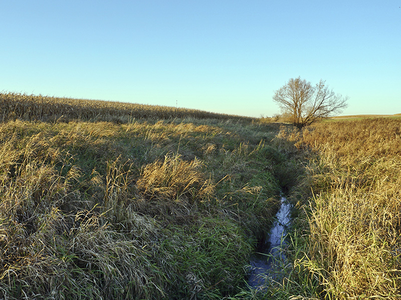 Stream in field