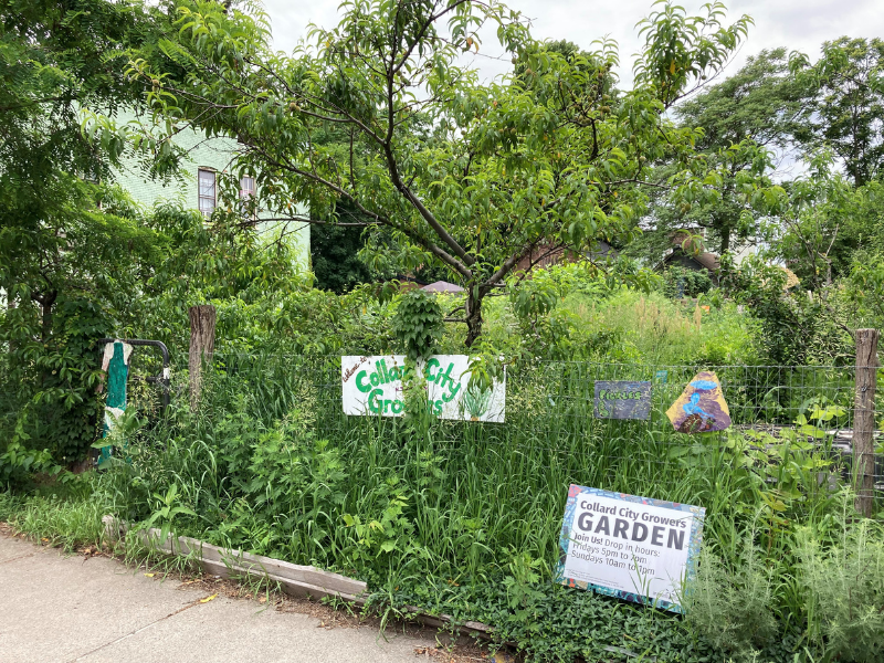 Collard City Growers, Troy, NT, es un proyecto voluntario de justicia alimentaria. Ha creado un bosque de alimentos de permacultura en un lote baldío en un vecindario residencial. Las exuberantes plantaciones a lo largo de la calle crean un límite claro entre la calle y el jardín, lo que promueve una sensación de estar lejos mientras se está en el jardín y aumenta las propiedades psicológicamente restauradoras del sitio. Crédito de la foto: John Taylor jardín comunitario urbano con sendero para caminar, flores, árboles y letreros