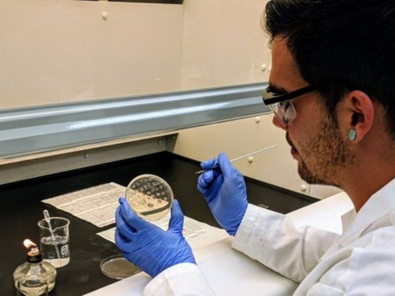 Keeping bacteria at bay in Hawaiian water bodies American Society of