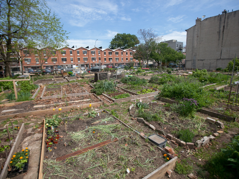 camas elevadas en jardín comunitario con edificios en segundo plano.