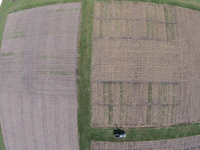 Imagen de un dron aéreo que muestra dos meses de crecimiento de cultivos de cobertura en Monmouth, Illinois en noviembre de 2016. Crédito: Dennis Bowman imagen de drone de campos