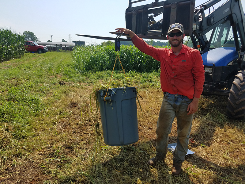 El estudiante graduado Tommy Stephenson pesa biomasa de festuca después de un corte de heno reciente para determinar el rendimiento de biomasa. Crédito: Cara Mathers Investigador pesa cultivos de biomasa en un contenedor grande desde la parte delantera de un tractor