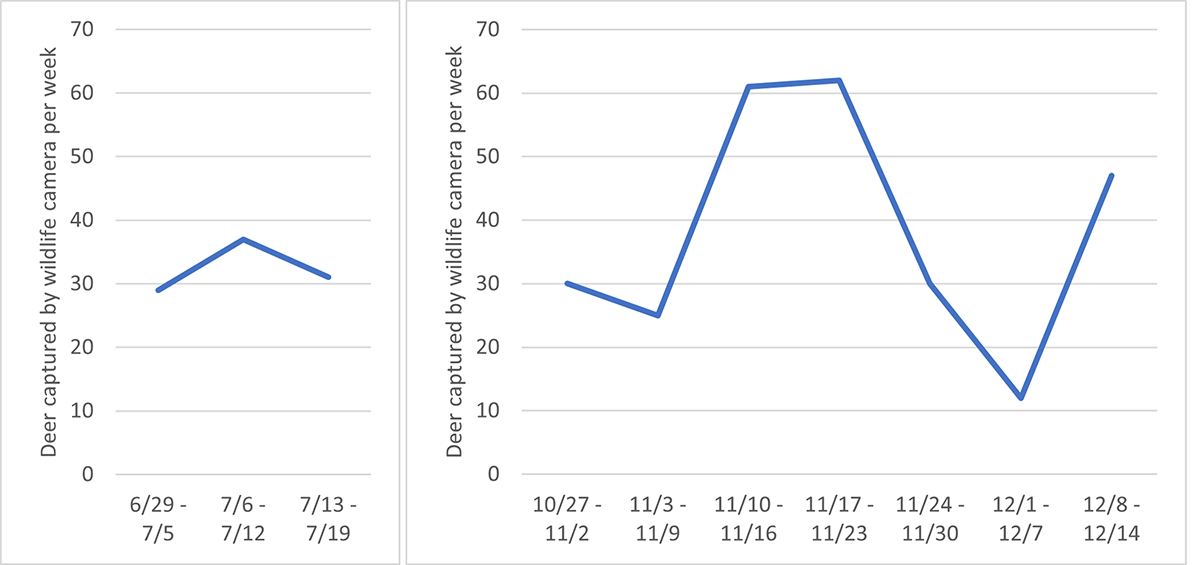 <<INSERT Figure 2. Deer per week captured by a wildlife camera in a field of giant miscanthus during the establishment period from June to July of 2022 (left) and the dry-drown period from October to December of 2022 (right).