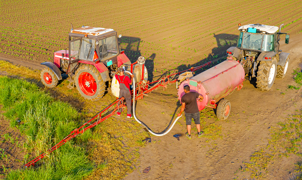 With growing waterhemp resistance issues, growers may have to tank-mix more than two products. Photo courtesy of Adobe Stock/Roman_23203.