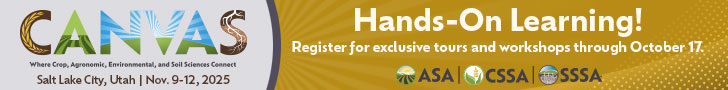 Hands-On Learning