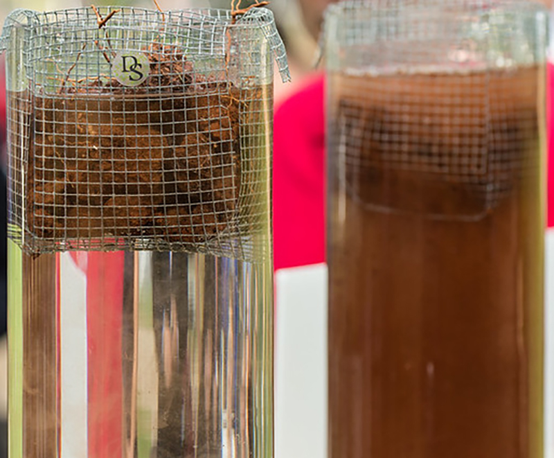Poorly aggregated soils, as shown on the right, lack cohesion, leading to increased surface runoff during heavy rains. Well-aggregated soils, as shown on the left, stick together. USDA Photo by Lance Cheung.