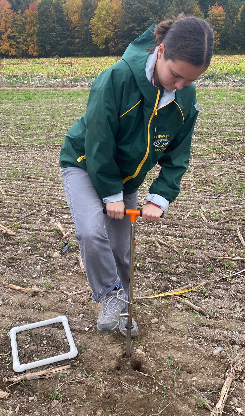 Direct measurement of SOC usually involves gathering soil samples and analyzing them using dry combustion methods. Photo by Kelsey Jensen.