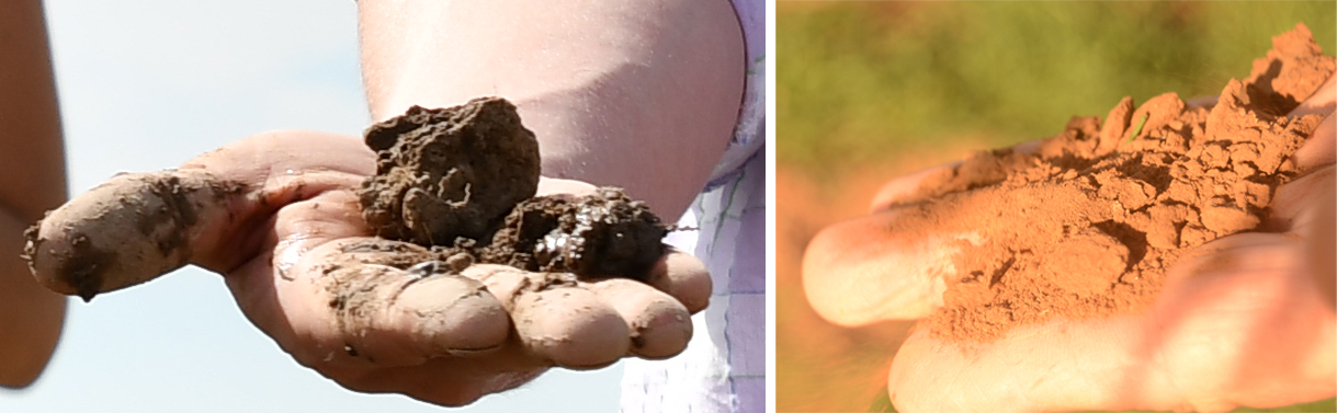  Hard and clumpy soil (left) vs. loose and crumbly soil (right). Photos courtesy of USDA-NRCS Oregon (left) and Texas (right). 