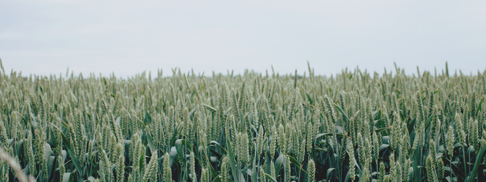 Federal Agencies American Society Of Agronomy