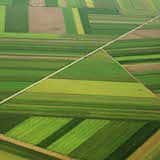 Science Policy Agriculture