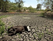 water scarcity