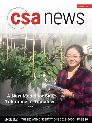 In the southwestern United States, drought conditions are driving greater groundwater pumping for agricultural irrigation, and with deeper pumping from aquifers comes increased water salinity. New research in Vadose Zone Journal tests the salinity threshold of tomatoes to see how much salt plants can tolerate before yields fall, resulting in a new model that can be applied to a variety of horticultural and agricultural crops. See story on p. 3. The cover photo shows Hui Yang with experimental tomatoes in a 