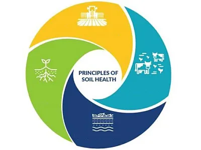 Soil health principles