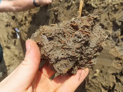 Soil held in hand