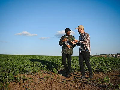 Photo courtesy of Adobe Stock/Serhii.