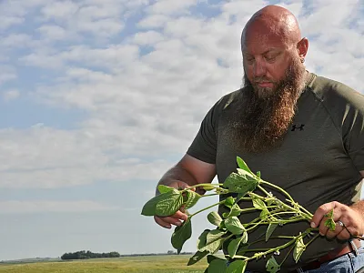Lee Briese is a crop consultant with CENTROL in North Dakota and a Certified Crop Adviser (CCA). 