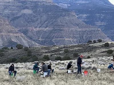 Contest day for the Region 7 Collegiate Soil Judging Competition that took place Oct. 23–25, 2025 at Talbott Farms in Palisade, CO. Participants examine soil profiles on a colluvial hill slope (left) and an alluvial stream terrace (right). Photo by Susan Melzer.