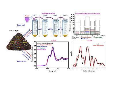 Synchrotron-based X-ray absorption spectroscopy reveals the molecular fingerprints of potassium in different soil types, helping researchers distinguish between "locked" mineral forms and plant-available nutrients. Photo courtesy of Yao-Tung Lin, National Chung Hsing University.