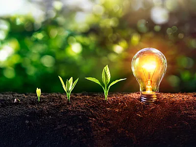 Image courtesy of Adobe Stock/	Romolo Tavani. 