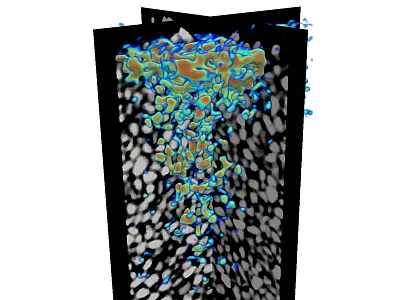 Imaging of microplastic (blue to red indicating increasing concentrations) in a sandy soil as seen by combining x-ray and neutron tomography. Image courtesy of Andreas Cramer.