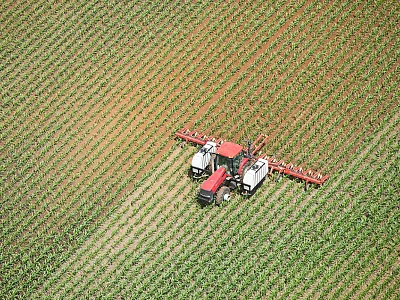 Photo courtesy of iStock/BanksPhotos.