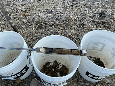 Stratified soil samples being collected in a long-term no-tillage rice-soybean rotation trial established in 2007 at the Rice Research and Extension Center, near Stuttgart, AR. Photo courtesy of Gerson Drescher, Assistant Professor of Soil Fertility at the University of Arkansas.