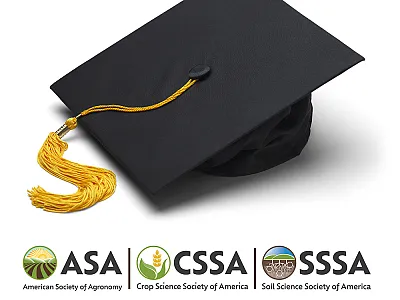 Theses and dissertations, 2024–2025